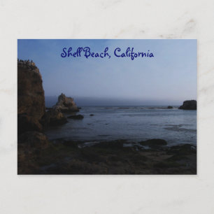 Shell Beach, California Postcard