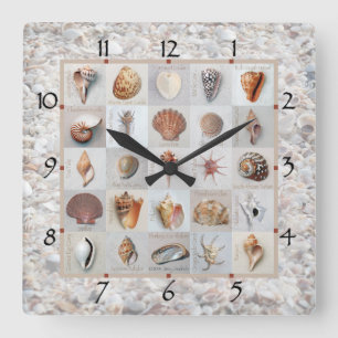 Shell Beach Clock