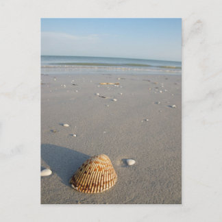 Shell Beach Postcard