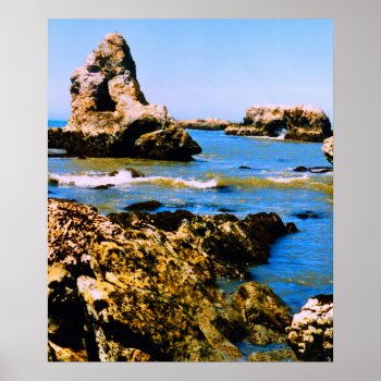 Shell Beach Poster by bluerabbit at Zazzle