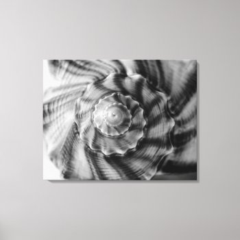 Shell  Black And White  Wrapped Canvas Print by artinphotography at Zazzle