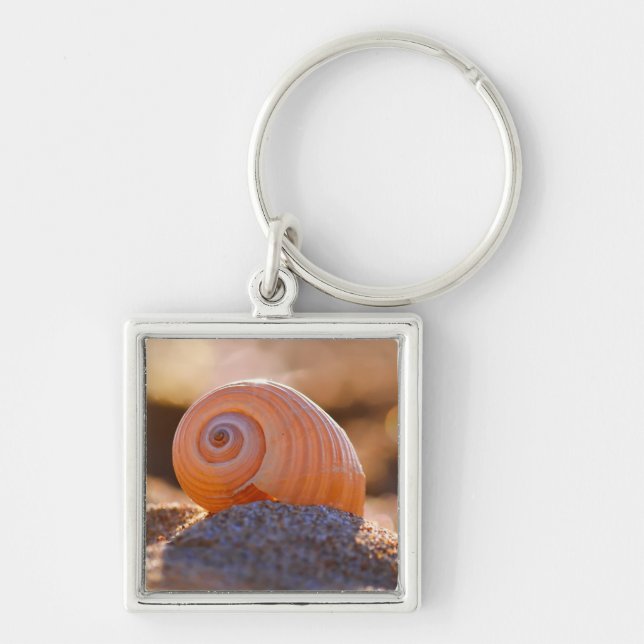 Shell Bokeh |Greece Keychain (Front)