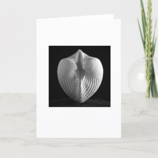 Shell Card