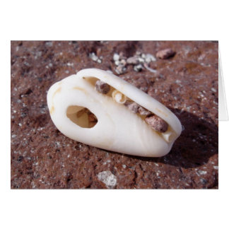 Shell Cards