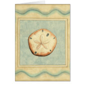 Shell Collector (Front)