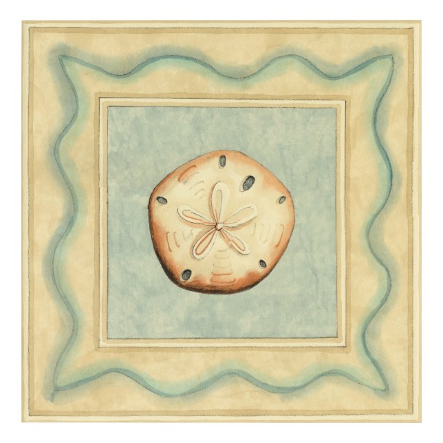 Shell Collector Acrylic Print (Front)