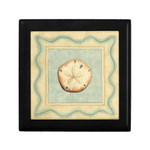 Shell Collector Keepsake Box