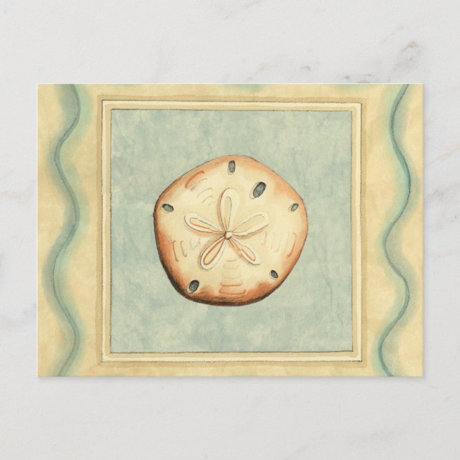 Shell Collector Postcard (Front)