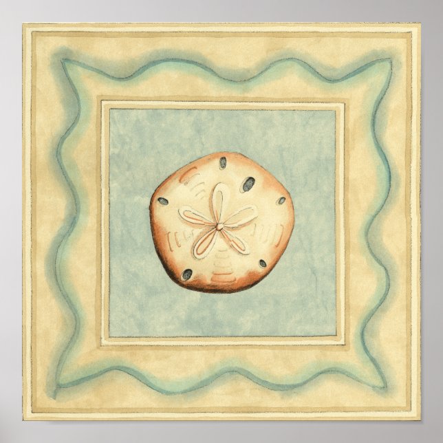 Shell Collector Poster (Front)