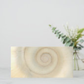 Shell - Conchology - White Spiral (Standing Front)