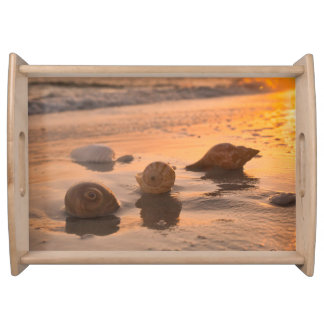 Shell design serving tray
