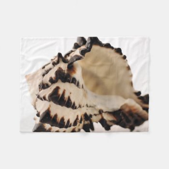 Shell Fleece Blanket by artinphotography at Zazzle