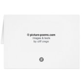 SHELL FRACTAL: No frame, no thought (Back Horizontal)