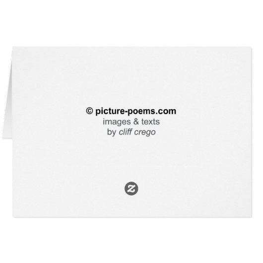 SHELL FRACTAL: No frame, no thought (Back Horizontal)