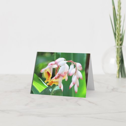 Shell Ginger Photo Folded Blank Note Card