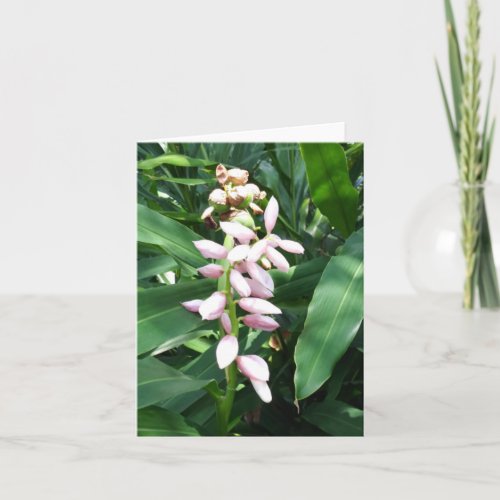 Shell Ginger Photo Folded Note Card