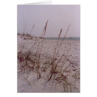 Shell Island Cards