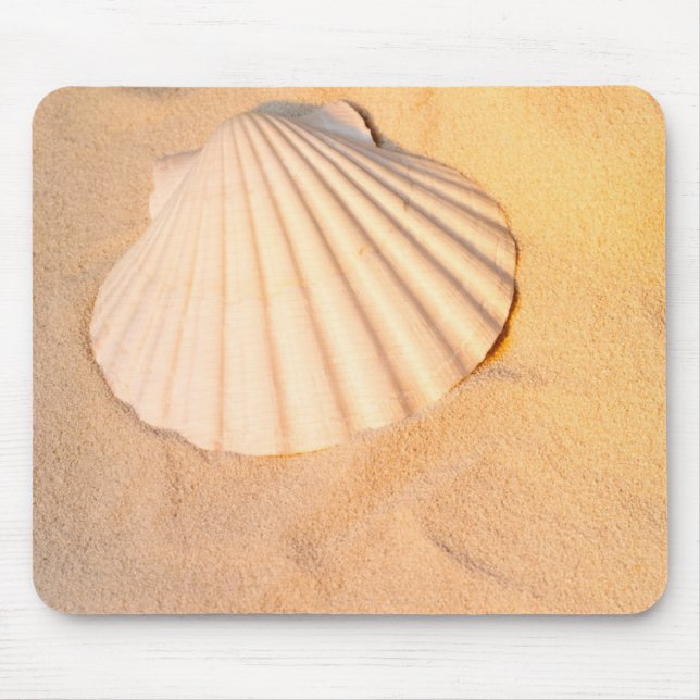 Shell Laying In Sand Mouse Pad (Front)