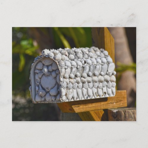 Shell Mailbox Fort Myers Beach Florida Postcard