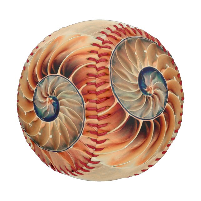 Shell Of Life Baseball (Angled)
