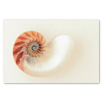 Shell Of Life Tissue Paper by PhotoShots at Zazzle