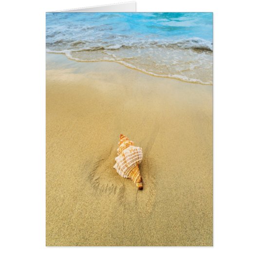 Shell On Beach | Jamaica Cards (Front)