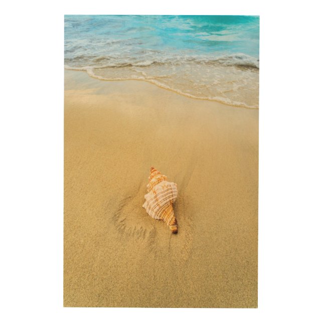 Shell On Beach | Jamaica Wood Wall Decor (Front)