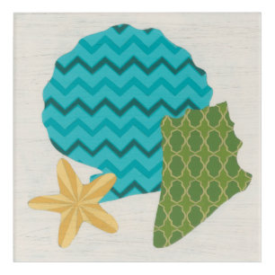 Shell Patterns II Acrylic Print