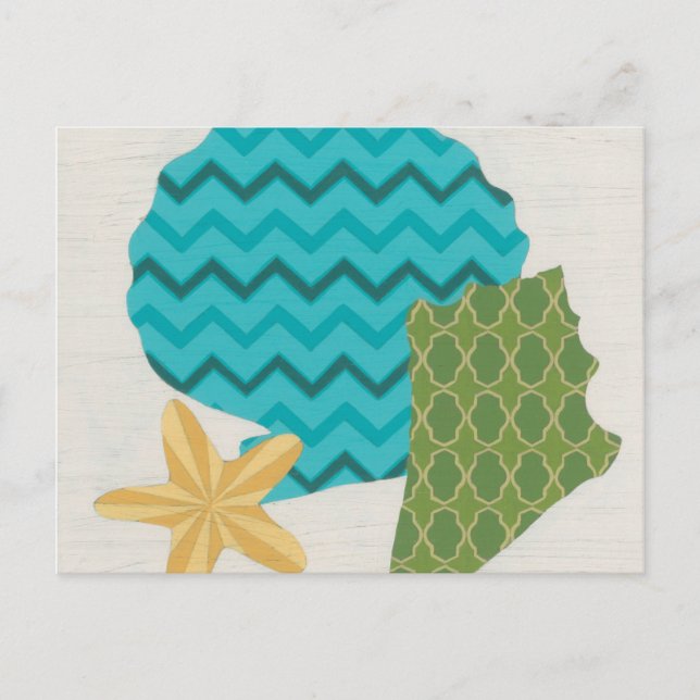 Shell Patterns II Postcard (Front)