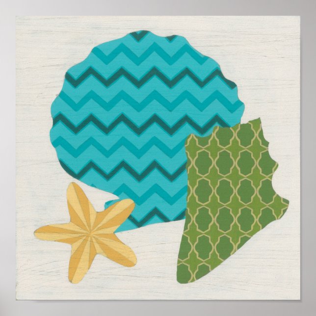 Shell Patterns II Poster (Front)