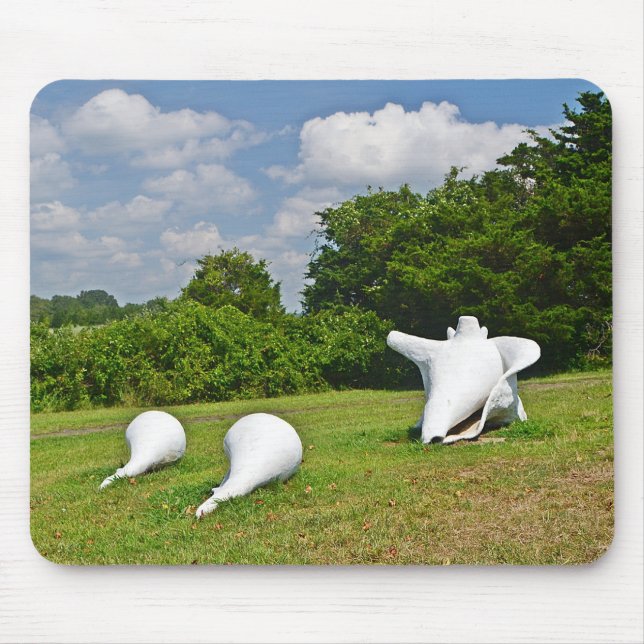 Shell Sculpture Mousepad (Front)