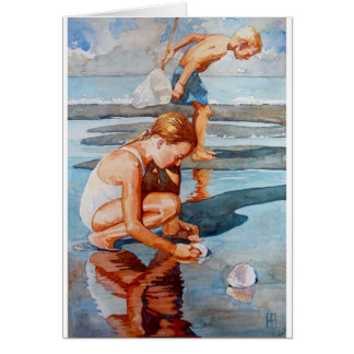 Shell Seekers Cards