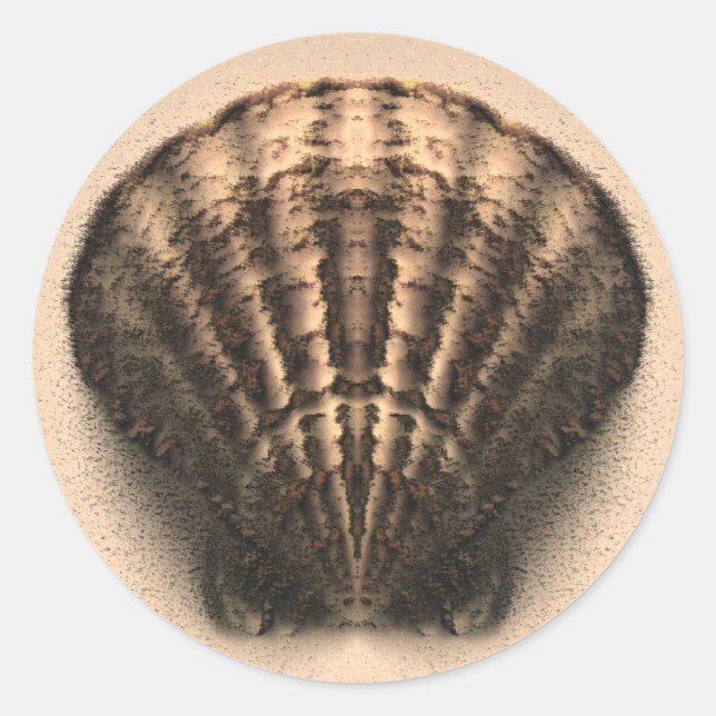 Shell Stickers (Front)
