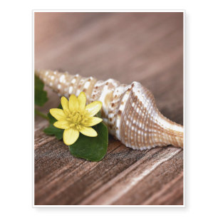 Shell Temporary Tattoos