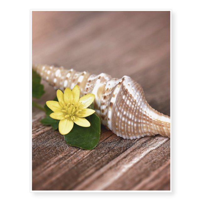 Shell Temporary Tattoos (Front)