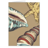 Shell Trio on Khaki (Front)