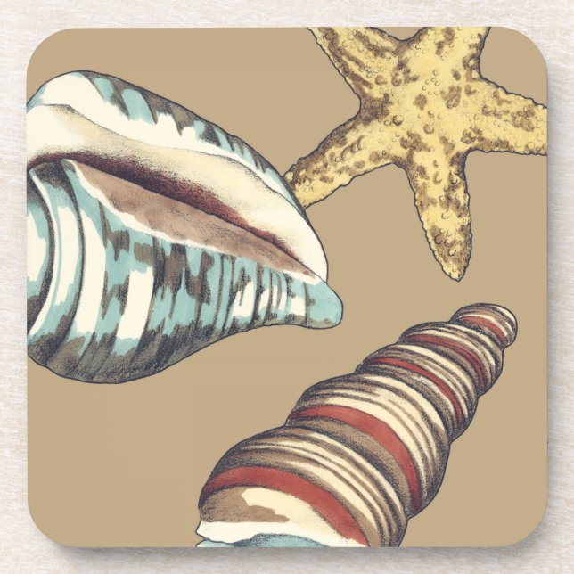 Shell Trio on Khaki Beverage Coaster (Front)