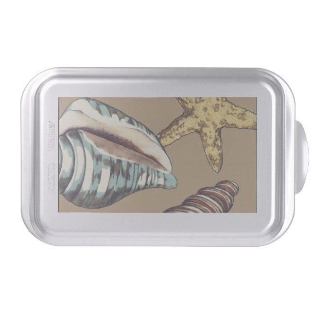 Shell Trio on Khaki Cake Pan (Front)