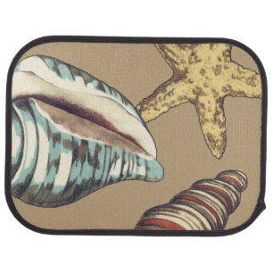 Shell Trio on Khaki Car Mat