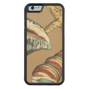 Shell Trio on Khaki Carved Maple iPhone 6 Bumper Case