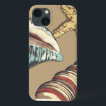 Shell Trio on Khaki iPhone 13 Case<br><div class="desc">Megan Meagher is known for her simple art pieces. This is a great image of decorative art capturing the sea life with a yellow starfish and a blue and red conch shell. Get this fine art print today on Khaki color on your Zazzle product.</div>