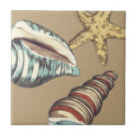 Shell Trio on Khaki Ceramic Tile<br><div class="desc">Megan Meagher is known for her simple art pieces. This is a great image of decorative art capturing the sea life with a yellow starfish and a blue and red conch shell. Get this fine art print today on Khaki color on your Zazzle product.</div>