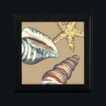 Shell Trio on Khaki Gift Box<br><div class="desc">Megan Meagher is known for her simple art pieces. This is a great image of decorative art capturing the sea life with a yellow starfish and a blue and red conch shell. Get this fine art print today on Khaki color on your Zazzle product.</div>