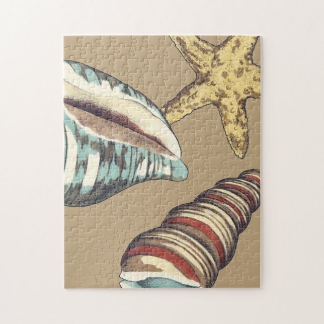 Shell Trio on Khaki Jigsaw Puzzle (Vertical)