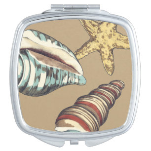 Shell Trio on Khaki Makeup Mirror