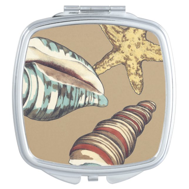 Shell Trio on Khaki Makeup Mirror (Front)