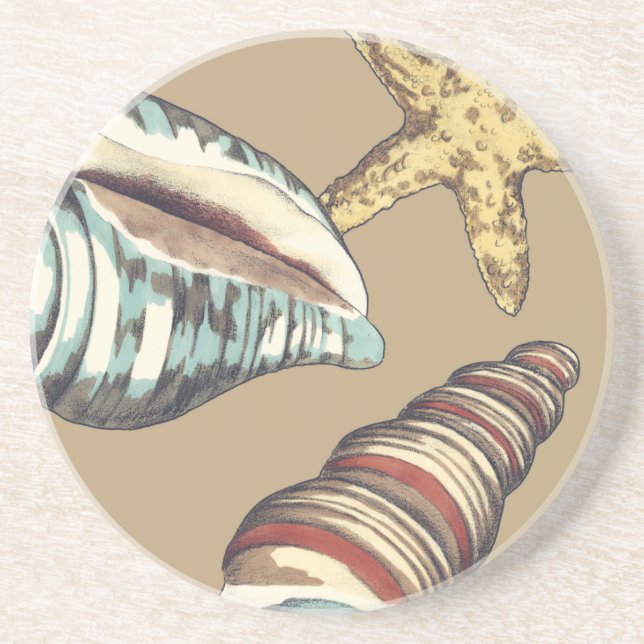 Shell Trio on Khaki Sandstone Coaster (Front)
