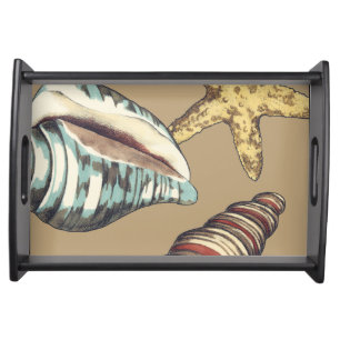 Shell Trio on Khaki Serving Tray