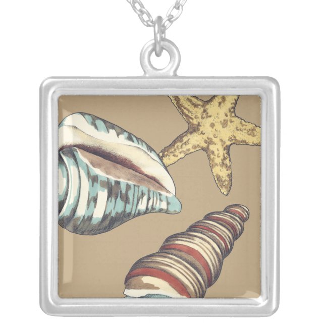 Shell Trio on Khaki Silver Plated Necklace (Front)
