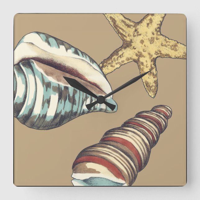 Shell Trio on Khaki Square Wall Clock (Front)
